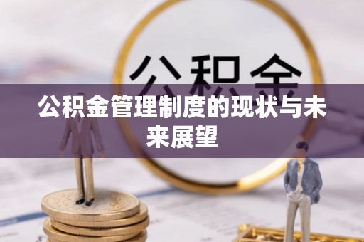大通公积金管理制度的现状与未来展望