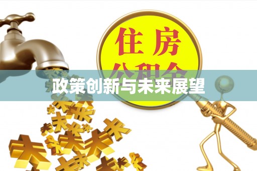 大通政策创新与未来展望
