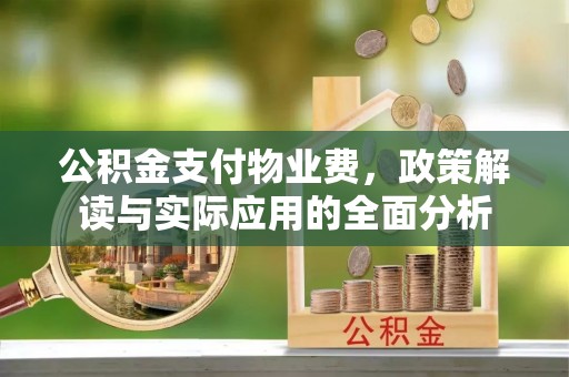 大通公积金支付物业费，政策解读与实际应用的全面分析