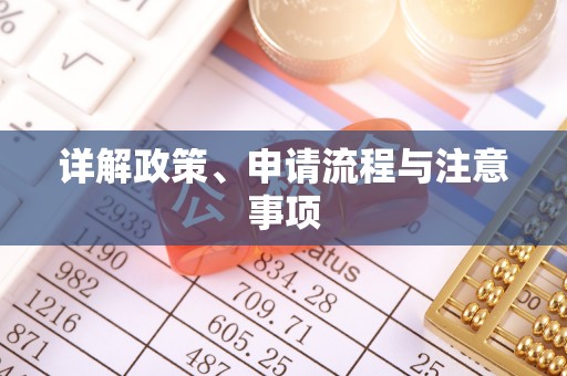 大通详解政策、申请流程与注意事项