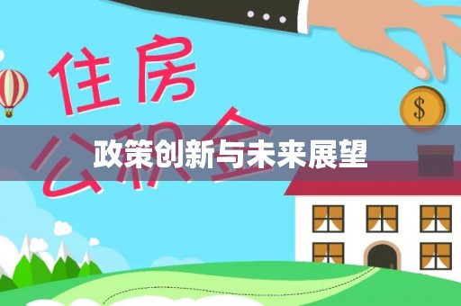 大通政策创新与未来展望
