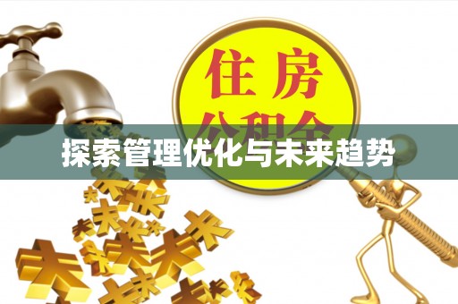 大通探索管理优化与未来趋势