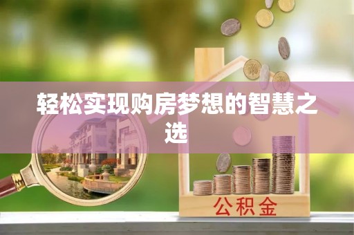 大通轻松实现购房梦想的智慧之选